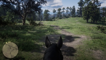 Red Dead Redemption 2 Screenshot